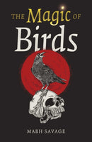 Magic of Birds, The