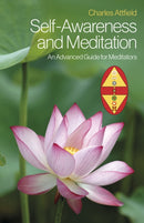 Self-Awareness and Meditation : An Advanced Guide for Meditators-9781803412313