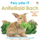 Pwy Ydw i? Anifeiliaid Bach / Who Am I? Baby Animals-9781804164327