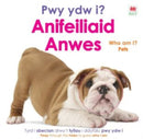 Pwy ydw i? Anifeiliaid Anwes / Who Am I? Pets-9781804164334