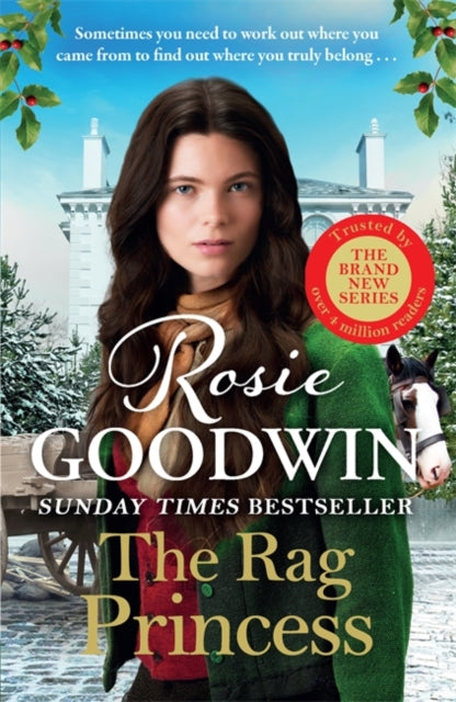 The Rag Princess : The first book in the brand-new Rags to Riches trilogy from Britain's best-loved saga author-9781804183076