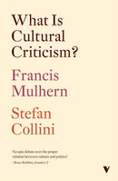 What Is Cultural Criticism?-9781804293379