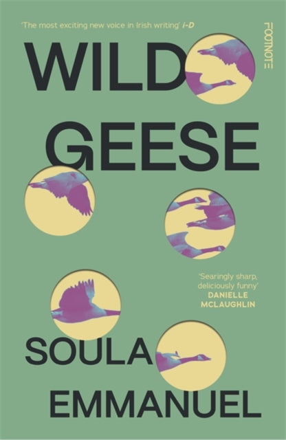 Wild Geese : the LAMBDA and GORDON BOWKER VOLCANO PRIZE winner-9781804440162