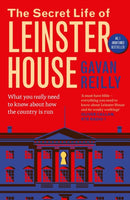 The Secret Life of Leinster House