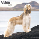 Afghan Calendar 2026  Square Dog Breed Wall Calendar - 16 Month-9781804606001