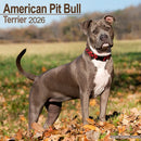 American Pit Bull Terrier Calendar 2026  Square Dog Breed Wall Calendar - 16 Month-9781804606049