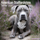 American Staffordshire Terrier Calendar 2026  Square Dog Breed Wall Calendar - 16 Month-9781804606056
