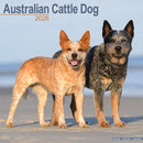 Australian Cattle Dog Calendar 2026  Square Dog Breed Wall Calendar - 16 Month-9781804606063