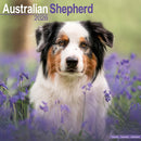 Australian Shepherd Calendar 2026  Square Dog Breed Wall Calendar - 16 Month-9781804606070