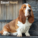Basset Hound Calendar 2026  Square Dog Breed Wall Calendar - 16 Month-9781804606087