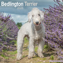 Bedlington Terrier Calendar 2026  Square Dog Breed Wall Calendar - 16 Month-9781804606117