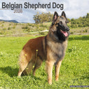 Belgian Shepherd Dog Calendar 2026  Square Dog Breed Wall Calendar - 16 Month-9781804606124
