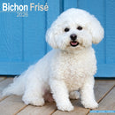 Bichon Frise Calendar 2026  Square Dog Breed Wall Calendar - 16 Month-9781804606148