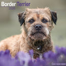 Border Terrier Calendar 2026  Square Dog Breed Wall Calendar - 16 Month-9781804606162