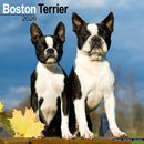 Boston Terrier Calendar 2026  Square Dog Breed Wall Calendar - 16 Month-9781804606186