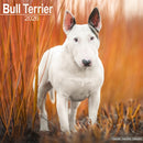 Bull Terrier Calendar 2026  Square Dog Breed Wall Calendar - 16 Month-9781804606223