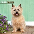 Cairn Terrier Calendar 2026  Square Dog Breed Wall Calendar - 16 Month-9781804606247