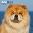 Chow Chow Calendar 2026  Square Dog Breed Wall Calendar - 16 Month-9781804606285