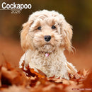 Cockapoo Calendar 2026  Square Dog Breed Wall Calendar - 16 Month-9781804606292