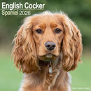 English Cocker Spaniel Calendar 2026  Square Dog Breed Wall Calendar - 16 Month-9781804606391