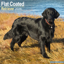 Flatcoated Retriever Calendar 2026  Square Dog Breed Wall Calendar - 16 Month-9781804606421