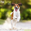 Fox Terrier Calendar 2026  Square Dog Breed Wall Calendar - 16 Month-9781804606438