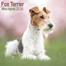 Fox Terrier Wirehaired Calendar 2026  Square Dog Breed Wall Calendar - 16 Month-9781804606445