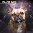 French Bulldog Calendar 2026  Square Dog Breed Wall Calendar - 16 Month-9781804606452