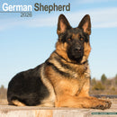German Shepherd Calendar 2026  Square Dog Breed Wall Calendar - 16 Month-9781804606469