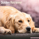 Golden Retriever Calendar 2026  Square Dog Breed Wall Calendar - 16 Month-9781804606483