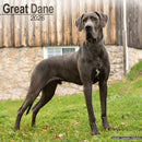 Great Dane (Euro) Calendar 2026  Square Dog Breed Wall Calendar - 16 Month-9781804606506