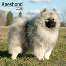 Keeshond Calendar 2026  Square Dog Breed Wall Calendar - 16 Month-9781804606568