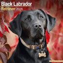 Black Labrador Retriever Calendar 2026  Square Dog Breed Wall Calendar - 16 Month-9781804606582