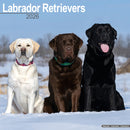 Labrador Retrievers (Mixed) Calendar 2026  Square Dog Breed Wall Calendar - 16 Month-9781804606612