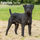 Patterdale Terrier Calendar 2026  Square Dog Breed Wall Calendar - 16 Month-9781804606728