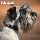 Schnauzer (Euro) Calendar 2026  Square Dog Breed Wall Calendar - 16 Month-9781804606841