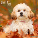 Shih Tzu Calendar 2026  Square Dog Breed Wall Calendar - 16 Month-9781804606902