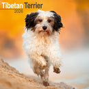 Tibetan Terrier Calendar 2026  Square Dog Breed Wall Calendar - 16 Month-9781804606933