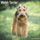 Welsh Terrier Calendar 2026  Square Dog Breed Wall Calendar - 16 Month-9781804606964