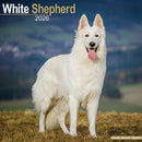 White Shepherd Calendar 2026  Square Dog Breed Wall Calendar - 16 Month-9781804606995