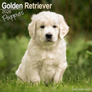 Golden Retriever Puppies Calendar 2026  Square Dog Puppy Breed Wall Calendar - 16 Month-9781804607053