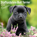 Staffordshire Bull Terrier Puppies Calendar 2026  Square Dog Puppy Breed Wall Calendar - 16 Month-9781804607091