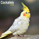 Cockatiels Calendar 2026  Square Bird Wall Calendar - 16 Month-9781804607138