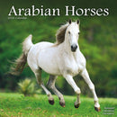 Arabian Horses Calendar 2026  Square Horses Wall Calendar - 16 Month-9781804607183