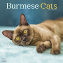 Cats - Burmese Calendar 2026  Square Cat Wall Calendar - 16 Month-9781804607244