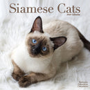 Cats - Siamese Calendar 2026  Square Cat Wall Calendar - 16 Month-9781804607251