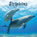 Dolphins Calendar 2026  Square Animal Wall Calendar - 16 Month-9781804607299