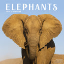 Elephants Calendar 2026  Square Wildlife Safari Wall Calendar - 16 Month-9781804607312