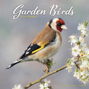 Garden Birds Calendar 2026  Square Birds Wall Calendar - 16 Month-9781804607343