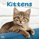 Kittens Calendar 2026  Square Cats Wall Calendar - 16 Month-9781804607381